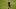 Sebastian Berhalter