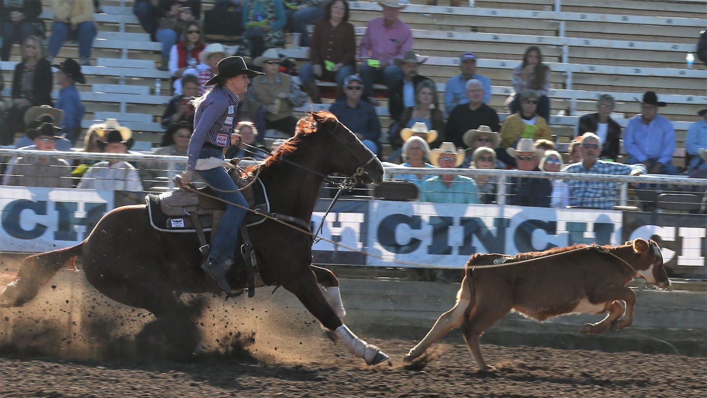 Kimes Ranch $1 Million Breakaway Starts in Scottsdale After EHV-1 Scare