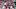 College Fantasy Football, Sedrick Irvin, Stanford Cardinal College Fantasy Football, Sedrick Irvin, Stanford Cardinal