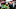 Dan Lanning, Jeffrey Bassa, Oregon Ducks, College football playoff Dan Lanning, Jeffrey Bassa, Oregon Ducks, College football playoff