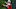 Sam Ehlinger, Detroit Lions, Indianapolis Colts Sam Ehlinger, Detroit Lions, Indianapolis Colts