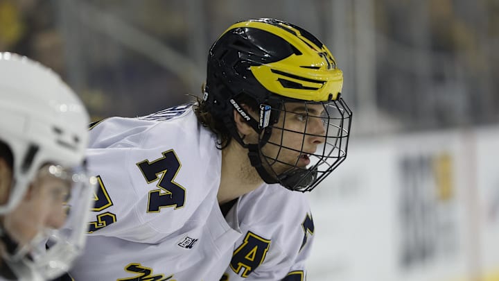 March 8, 2025; Ann Arbor, Michigan, USA; Michigan Wolverines defenseman Ethan Edwards (73) looks on during the third period at Yost Ice Arena. Mandatory Credit: Brian Bradshaw Sevald-Imagn Images