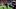 TCU running back Jeremy Payne catches the game-winning touchdown pass against USC in the 2025 Alamo Bowl. TCU running back Jeremy Payne catches the game-winning touchdown pass against USC in the 2025 Alamo Bowl.