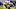 A'mauri Washington, Dan Lanning, Oregon Ducks, Tosh Lupoi A'mauri Washington, Dan Lanning, Oregon Ducks, Tosh Lupoi