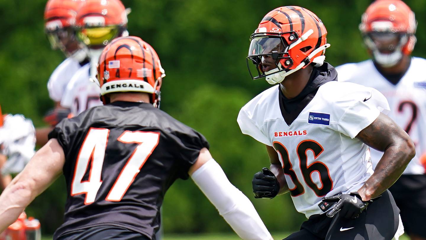 Cincinnati Bengals Rookie WR Colbie Young Making Plays, Earning Trust Day by Patient Day