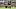 Roman Wilson, Pittsburgh Steelers, 2026 Fantasy Football Roman Wilson, Pittsburgh Steelers, 2026 Fantasy Football