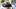 Michigan Wolverines quarterback Tommy Carr (14) receives the ball Michigan Wolverines quarterback Tommy Carr (14) receives the ball