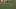 Commanders players' helmets Commanders players' helmets