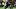 Fantasy Football, KC Concepcion, Cleveland Browns