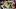 Fantasy Football, Tucker Kraft, Green Bay Packers Fantasy Football, Tucker Kraft, Green Bay Packers