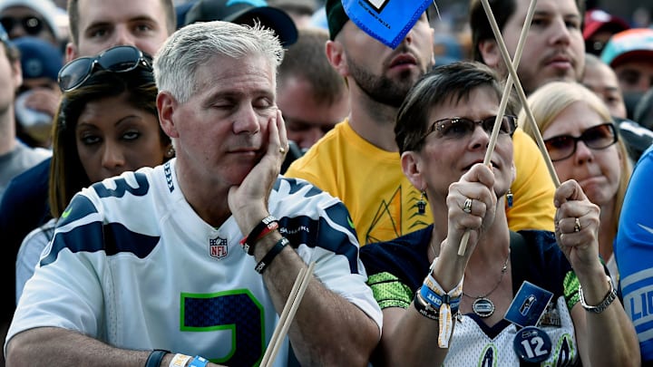 Seattle Seahawks fan