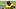 Iowa quarterback Jeremy Hecklinski Iowa quarterback Jeremy Hecklinski