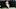 Chicago bears, DJ Moore Chicago bears, DJ Moore