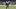 Oregon Ducks New York Jets Detroit Lions NFL Week 3 Kenyon Sadiq tight end rookie season Big Ten Tight End of the Year Oregon Ducks New York Jets Detroit Lions NFL Week 3 Kenyon Sadiq tight end rookie season Big Ten Tight End of the Year
