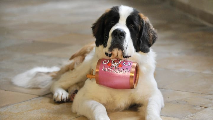 There probably isn't any brandy in there.