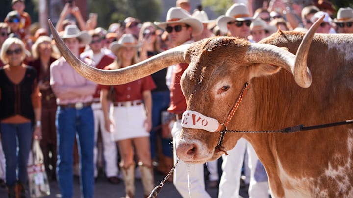 Texas Longhorns mascot Bevo XV makes its way into the Darrell K Royal Texas Memorial Stadium before a game between the Texas Longhorns and the Kentucky Wildcats.