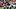 Sep 20, 2026; Houston, Texas, USA; Houston Texans defensive end Will Anderson Jr. Sep 20, 2026; Houston, Texas, USA; Houston Texans defensive end Will Anderson Jr.