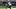 Sep 27, 2026; Indianapolis, Indiana, USA; Indianapolis Colts quarterback Daniel Jones (17) drops back to pass against the Ho Sep 27, 2026; Indianapolis, Indiana, USA; Indianapolis Colts quarterback Daniel Jones (17) drops back to pass against the Ho