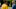 Stick_Photo_010309