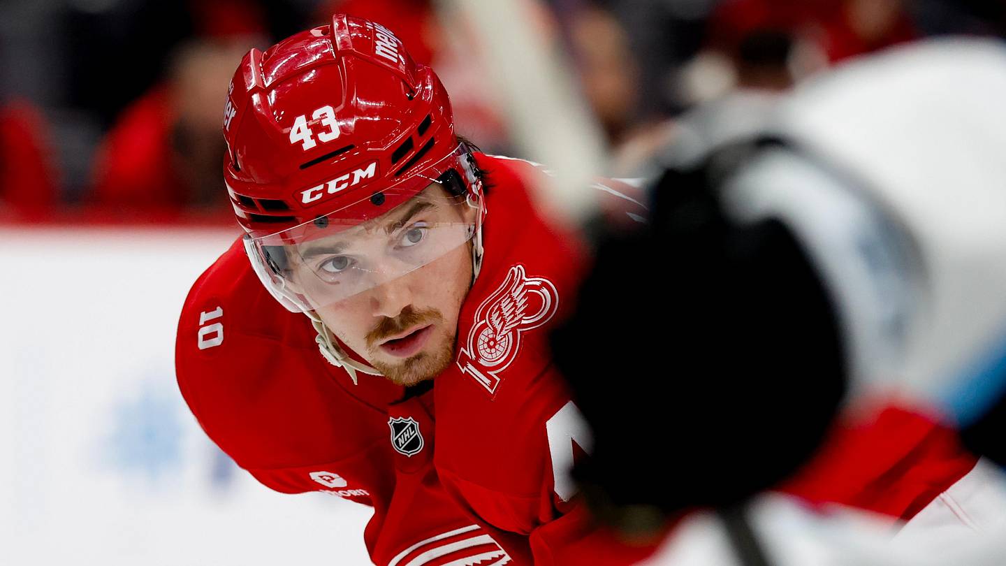 Red Wings emergency call-up earned an NHL contract