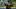 Pittsburgh Pirates starting pitcher Jared Jones