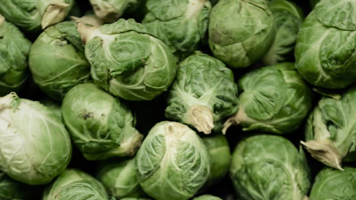 Freshly harvested brussels sprouts...