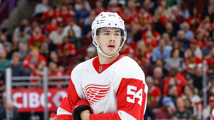 Detroit Red Wings defenseman William Wallinder Credit: Kamil Krzaczynski-USA TODAY Sports Detroit Red Wings defenseman William Wallinder Credit: Kamil Krzaczynski-USA TODAY Sports