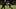 von miller commanders von miller commanders