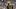 Denis Bouanga and LAFC Denis Bouanga and LAFC