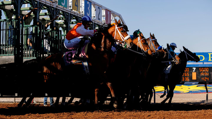 Horses break at the starting gate