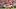 Fantasy Football, Christian McCaffrey, San Francisco 49ers