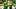 oregon ducks wide receiver dakorien moore touchdown autzen stadium betmgm fanduel draftkings usa ole miss dan lanning oregon ducks wide receiver dakorien moore touchdown autzen stadium betmgm fanduel draftkings usa ole miss dan lanning