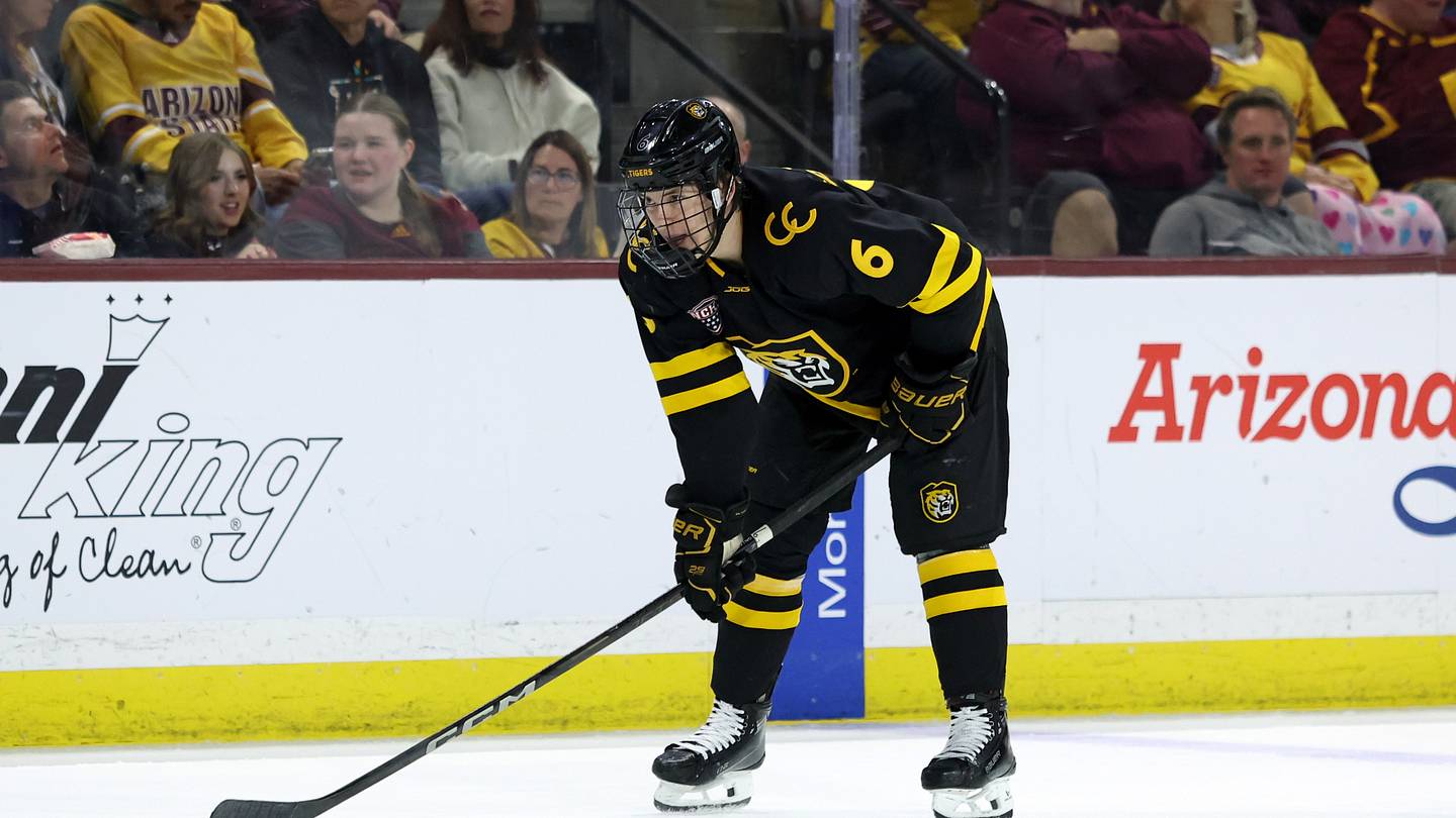 Providence Bruins Sign Ty Gallagher: A Bright Future