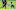 Denver Broncos, Jaleel McLaughlin Denver Broncos, Jaleel McLaughlin