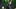 oregon ducks recuiting achilles reyna george vansandt malachi garlington dan lanning receiver tight end edge marcus fakatou oregon ducks recuiting achilles reyna george vansandt malachi garlington dan lanning receiver tight end edge marcus fakatou