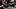 TWD_501_GP_0512_0530