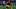 Washington Commanders wide receiver Terry McLaurin fantasy football Washington Commanders wide receiver Terry McLaurin fantasy football