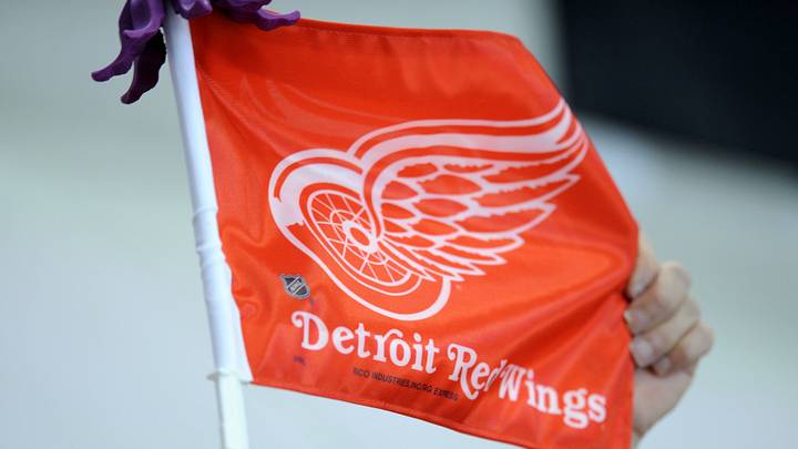 A Detroit Red Wings fans holds up a flag  Credit: Randy Sartin-USA TODAY Sports