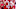 Nebraska Cornhuskers Nebraska Cornhuskers