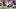 Beau Pribula Virginia Cavaliers Beau Pribula Virginia Cavaliers