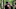 TWD_501_GP_0505_0177 TWD_501_GP_0505_0177