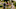 QUEENCHARLOTTE_101_Unit_03365RC QUEENCHARLOTTE_101_Unit_03365RC