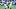 Pittsburgh Steelers wide receiver Roman Wilson ( Pittsburgh Steelers wide receiver Roman Wilson (
