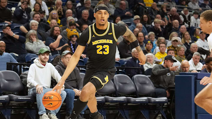 Michigan's Yaxel Lendeborg