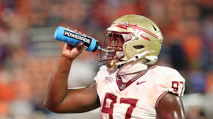 COLLEGE FOOTBALL: NOV 08 Florida State at Clemson