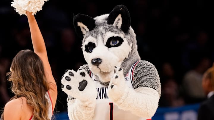 UConn's mascot cheers on his team as the Huskies take on the NCAA Tournament. This isn't a furry post.