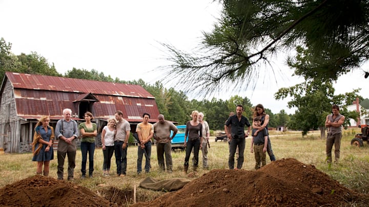 (L-R) Patricia (Jane McNeill), Hershel Greene (Scott Wilson), Maggie Greene (Lauren Cohan), Beth (Emily Kinney), Jimmy (James Alle McCune), Glenn (Steven Yeun), T-Dog (Robert 'IronE' Singleton), Andrea (Laurie Holden), Dale (Jeffrey DeMunn), Shane Walsh (Jon Bernthal), Rick Grimes (Andrew Lincoln), Carl Grimes (Chandler Riggs), Lori Grimes (Sarah Wayne Callies) and Daryl Dixon (Norman Reedus) - The Walking Dead - Season 2, Episode 8 - Photo Credit: Russell Kaye/AMC
