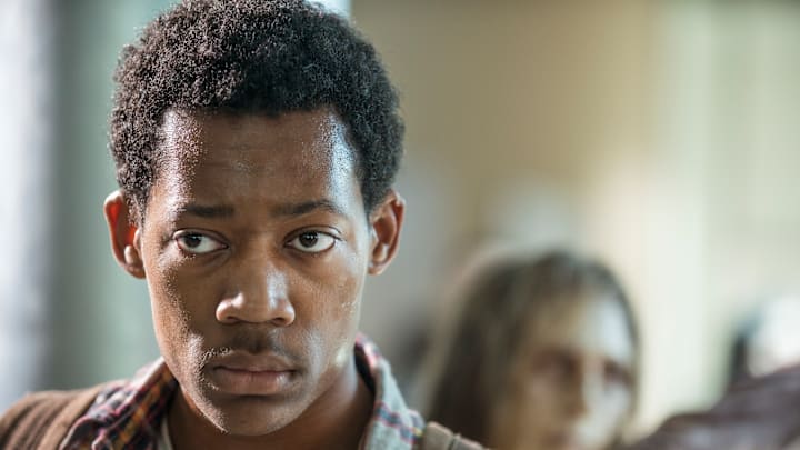 The Walking Dead season 5 The Walking Dead season 5