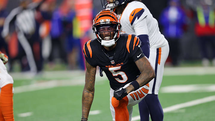 Dec 28, 2024; Cincinnati, Ohio, USA; Cincinnati Bengals wide receiver Tee Higgins (5) reacts after catching a first down pass in overtime against the Denver Broncos at Paycor Stadium. Mandatory Credit: Joseph Maiorana-Imagn Images