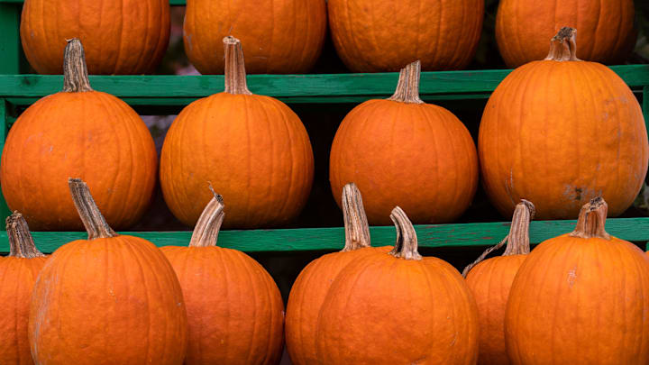 A variety of gourds and pumpkins in all shapes and sizes are found at Russell Farms, Sunday, Oct. 19, 2025 in Noblesville. “We try to make sure that we have the best variety of gourds at our place,” says one of the pumpkin patch’s owners, Laura Russell.